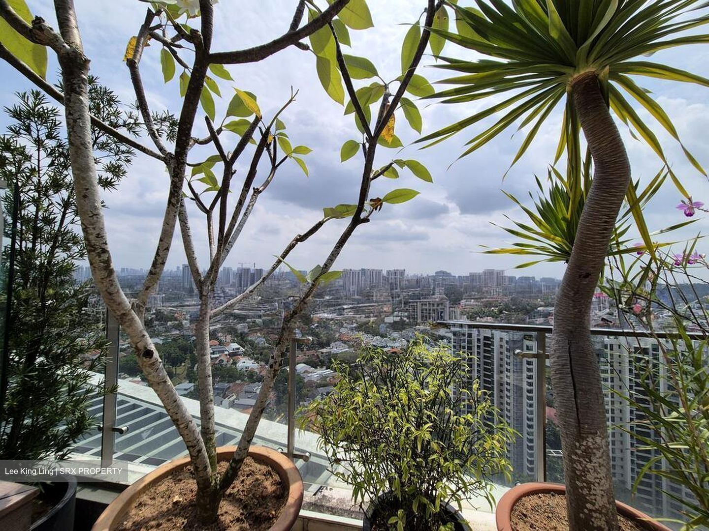 The Trizon (D10), Condominium #519252561